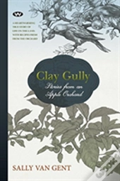 Clay Gully