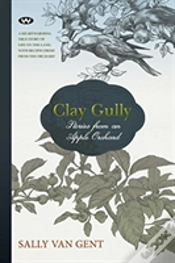 Capa do artigo Clay Gully