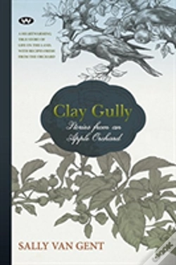 Capa do artigo Clay Gully