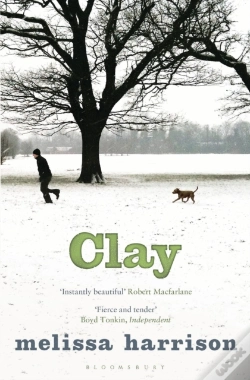 Capa do artigo Clay
