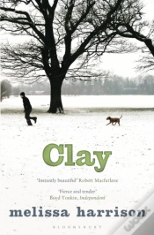 Capa do artigo Clay
