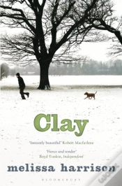Capa do artigo Clay