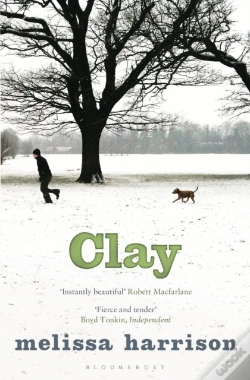 Capa do artigo Clay