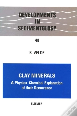 Capa do artigo Clay Minerals