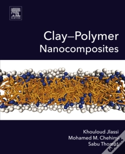 Capa do artigo Clay-Polymer Nanocomposites