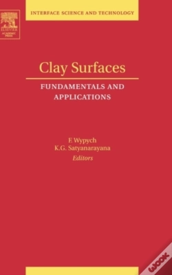 Capa do artigo Clay Surfaces