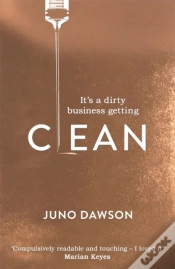 Capa do artigo Clean
