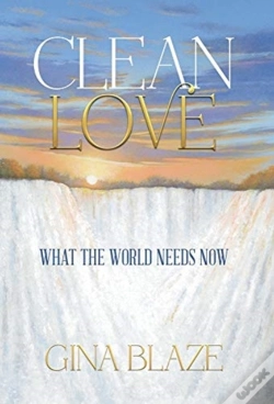 Capa do artigo Clean Love