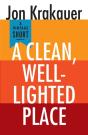 Clean, Well-Lighted Place - Preview