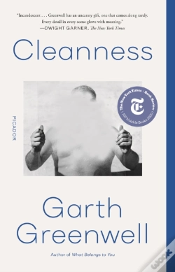 Capa do artigo Cleanness