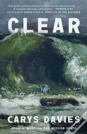 Capa do artigo Clear