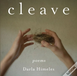 Capa do artigo Cleave