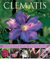 Capa do artigo Clematis