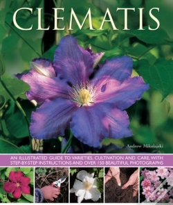 Capa do artigo Clematis