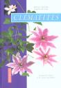 Clematites Comment Les Choisir Et Les Cultiver Facilement - Preview