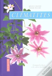Capa do artigo Clematites Comment Les Choisir Et Les Cultiver Facilement