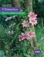 Clematites - Preview