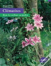 Capa do artigo Clematites