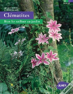 Capa do artigo Clematites