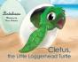 Cletus, The Little Loggerhead Turtle - Preview