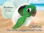 Cletus, The Little Loggerhead Turtle - Preview