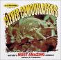Clever Camouflagers - Preview