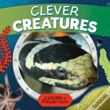 Clever Creatures