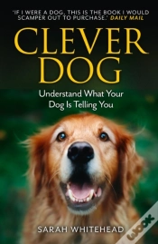 Capa do artigo Clever Dog