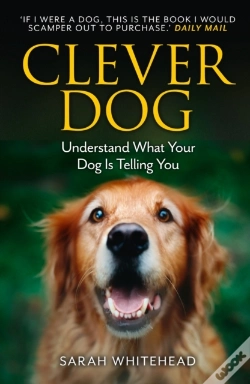 Capa do artigo Clever Dog