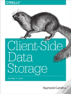 Capa do artigo Client-Side Data Storage