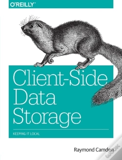 Capa do artigo Clientâ€“Side Data Storage