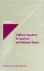 Clifford Algebras In Analysis And Related Topics - Preview