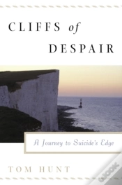 Capa do artigo Cliffs Of Despair