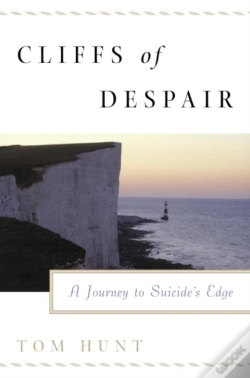 Capa do artigo Cliffs Of Despair