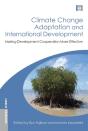 Climate Change Adaptation And International Development - Preview