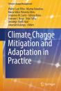 Climate Change Mitigation And Adaptation In Practice - Preview