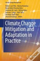 Climate Change Mitigation And Adaptation In Practice