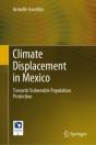 Climate Displacement In Mexico - Preview