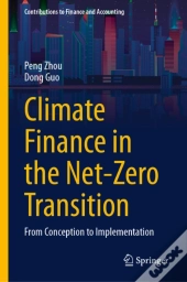 Climate Finance In The Net-Zero Transition