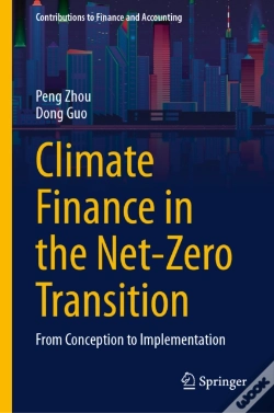 Capa do artigo Climate Finance In The Net-Zero Transition