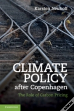 Capa do artigo Climate Policy After Copenhagen
