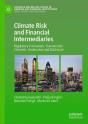 Climate Risk And Financial Intermediaries - Preview