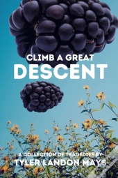 Climb A Great Descent
