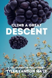 Capa do artigo Climb A Great Descent