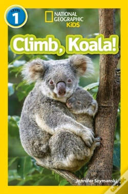 Capa do artigo Climb, Koala!