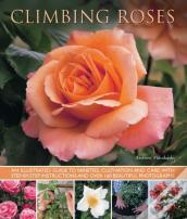 Climbing Roses