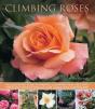 Climbing Roses - Preview