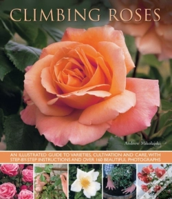Capa do artigo Climbing Roses