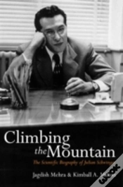 Capa do artigo Climbing The Mountain