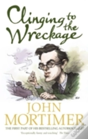 Capa do artigo Clinging To The Wreckage